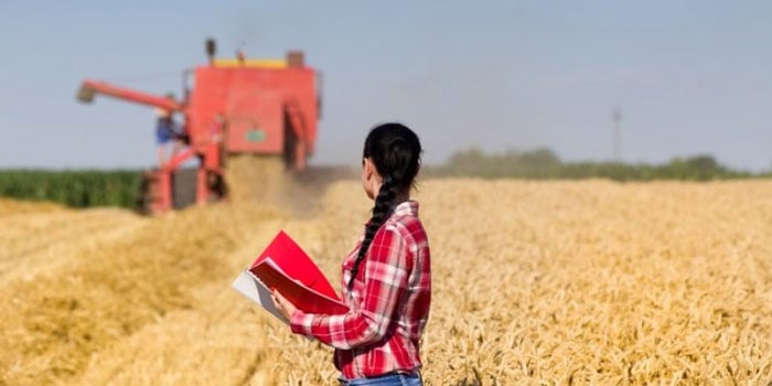 ICL e AgroAdvance lançam pós-graduação em nutrição vegetal para antecipar decisões