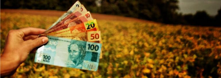 Produtores rurais do Paraná não conseguem renegociar dívidas mesmo com MP vigente