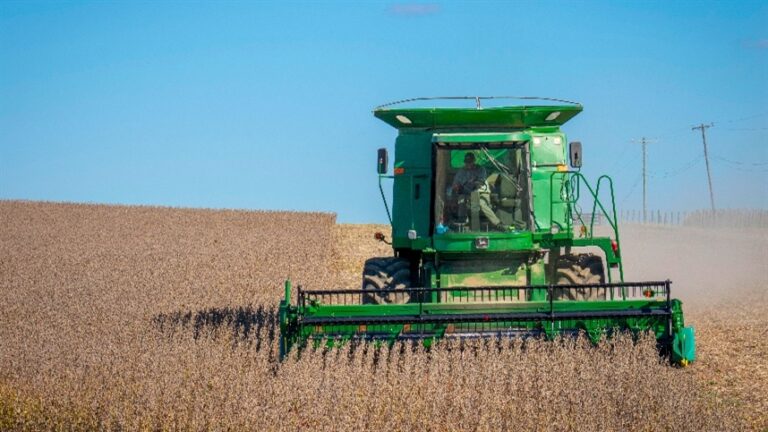 Produtor alcança produtividade recorde de 118 sacas de soja por hectare