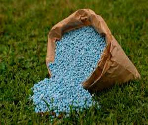Importações de fertilizantes caem 43% em agosto no Brasil
