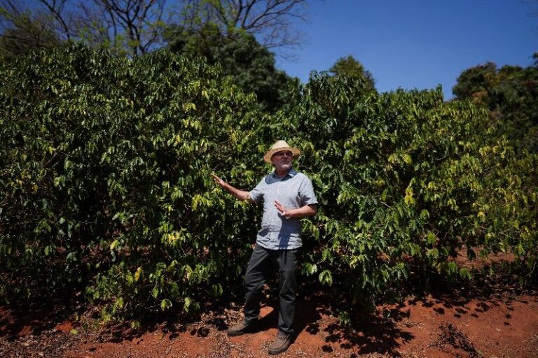 Brasil exporta recorde de 4 milhões de sacas de café em agosto
