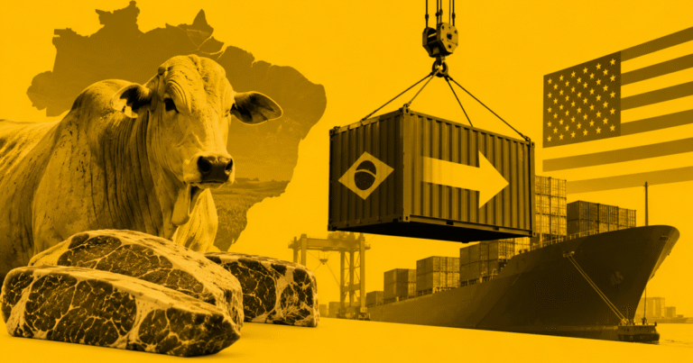 Carne bovina amplia vendas aos EUA enquanto agro recua 26,7%
