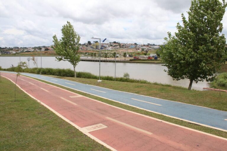 Parque Olarias recebe plantio de 300 mudas neste sábado em Ponta Grossa
