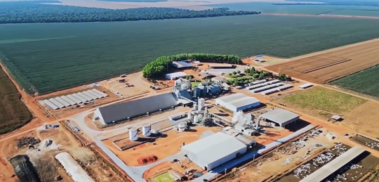 Safra de soja 26/27 é oficialmente aberta em Ipiranga do Norte