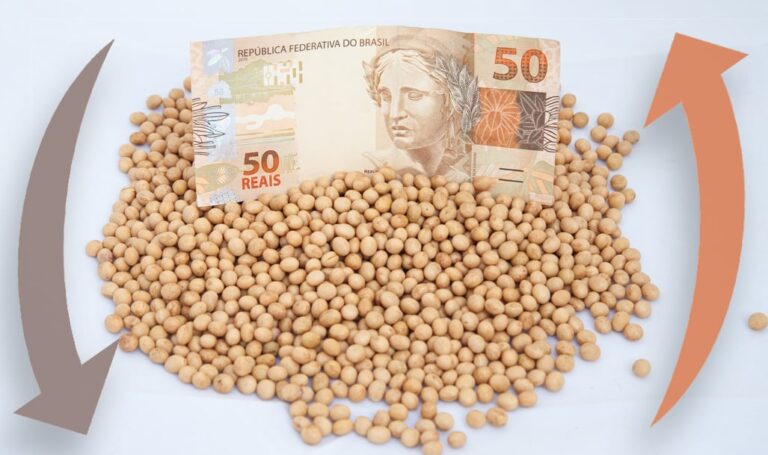 Preço da soja cai no mercado disponível e futuro