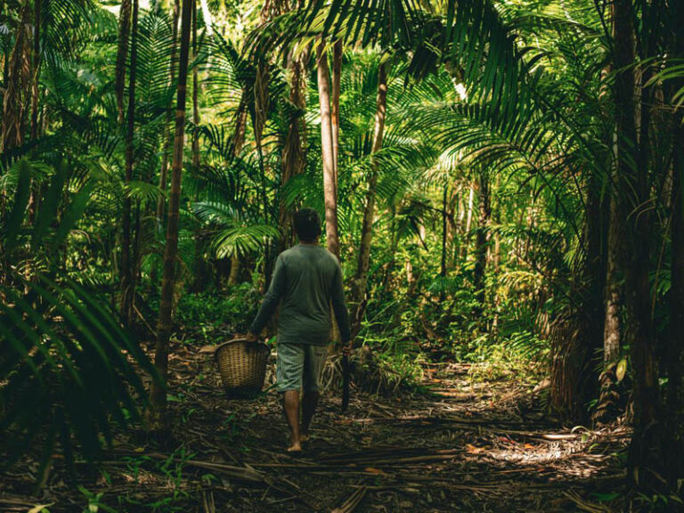 Natura transforma biodiversidade amazônica em inovação para indústria de beleza