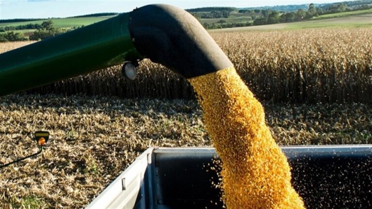 Sartori avalia relatório do USDA sobre produção mundial de grãos