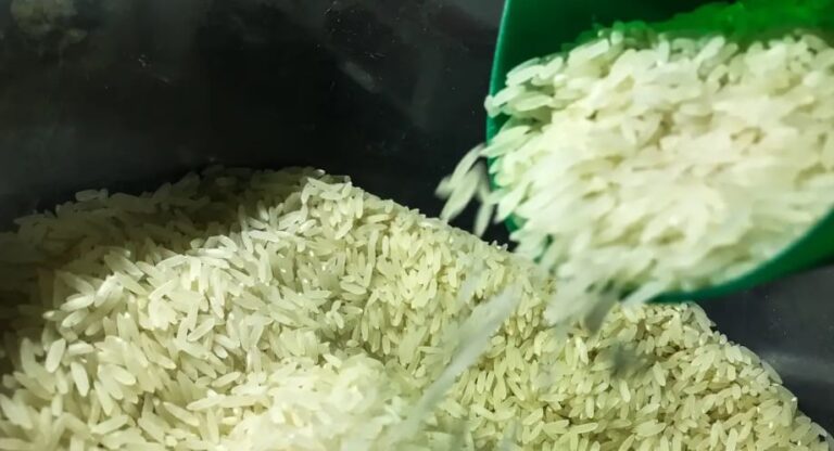 Indústrias reduzem compras de arroz no RS após aquisições recentes