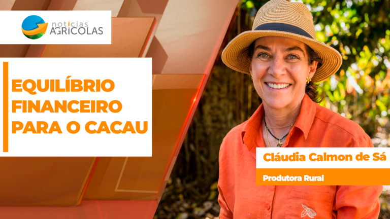 Produtor de cacau enfrenta dificuldade para equilibrar finanças sem produtividade