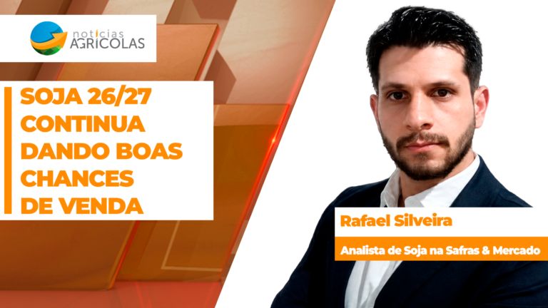 Mercado de soja brasileiro registra momento positivo para venda de disponível