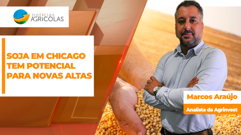 Produtor pode aproveitar alta da soja em Chicago e garantir vendas da safra 2026/27