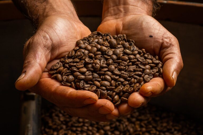 Café tenta estabilizar após semana de queda, mas oferta brasileira segue pressionando NY