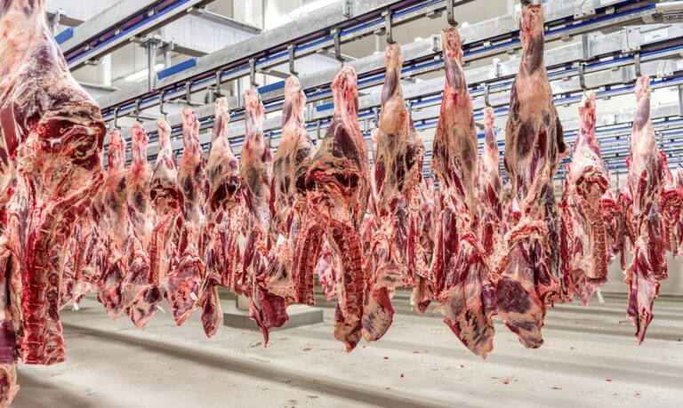 UE embarga produtos animais e afeta vendas brasileiras em US$ 18 bi