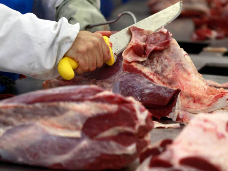 Restrições europeias a carnes brasileiras podem custar R$ 2 bilhões ao Paraná por ano