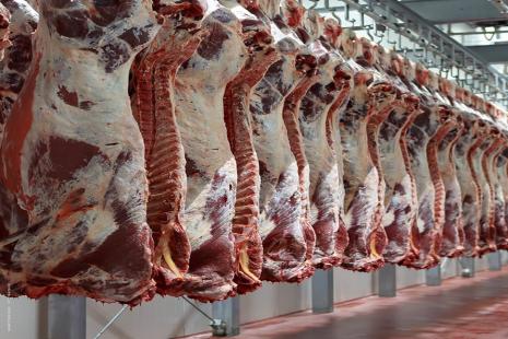 UE suspende importações de carnes do Brasil a partir de 3 de setembro