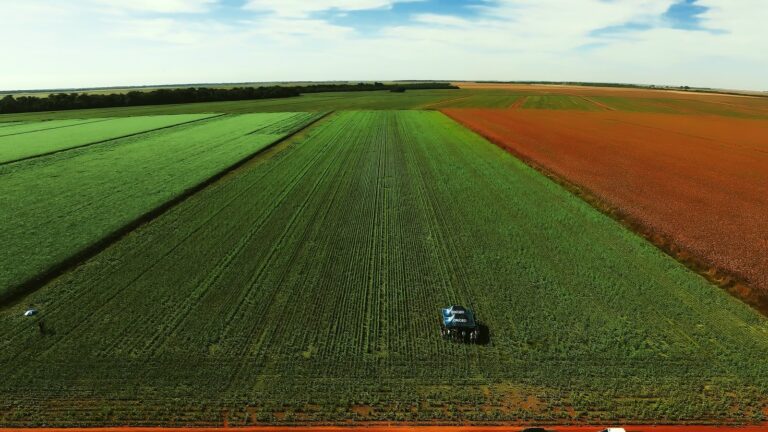 Produtor do Cerrado se prepara para safra 2026-2027 com foco em clima