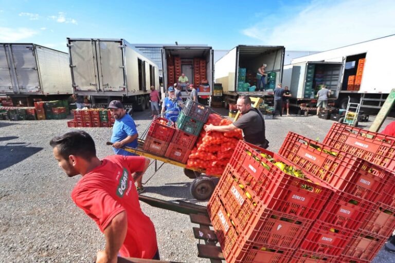Índice Ceagesp sobe 3,14% em agosto puxado por frutas e legumes