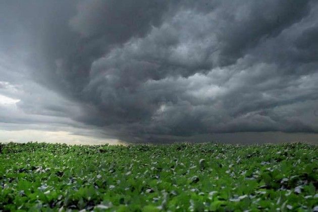 Inmet aponta 90% de probabilidade de El Niño muito forte até novembro