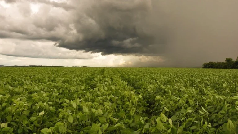 El Niño intenso traz chuva acima da média ao Sul e Sudeste em setembro