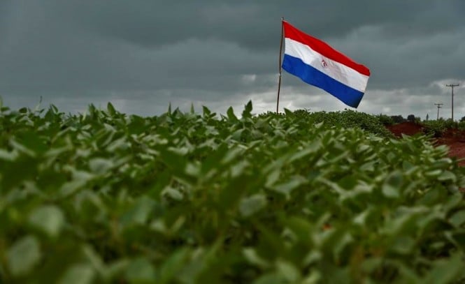 Paraguai encerra colheita de milho com negócios travados enquanto soja avança