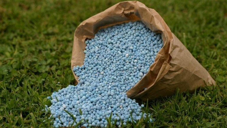 Alta de fertilizantes exige controle da compactação do solo para evitar desperdício