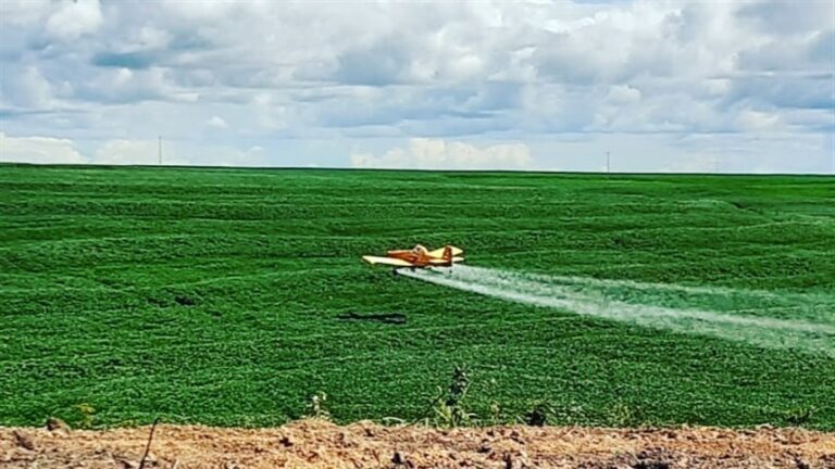 Justiça Federal reforça restrições a quatro defensivos agrícolas