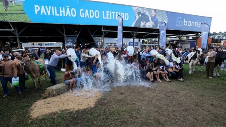 Expointer premia campeãs em competição de banho de leite em Esteio
