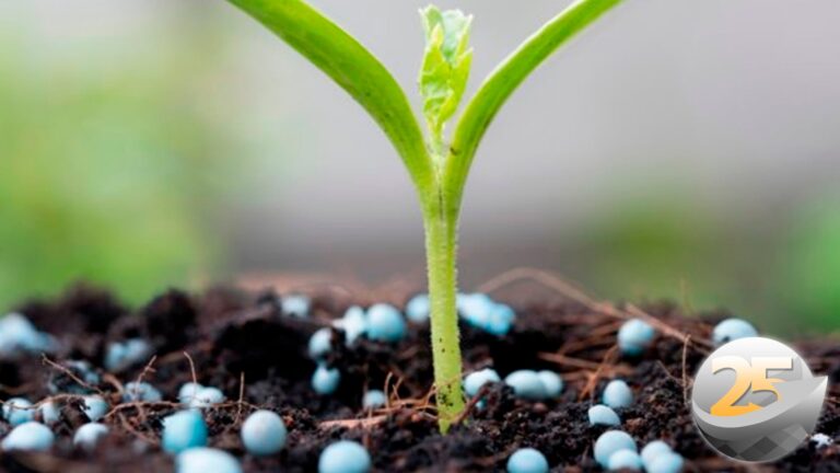 Setor de fertilizantes pede medidas urgentes para reduzir custos do produtor