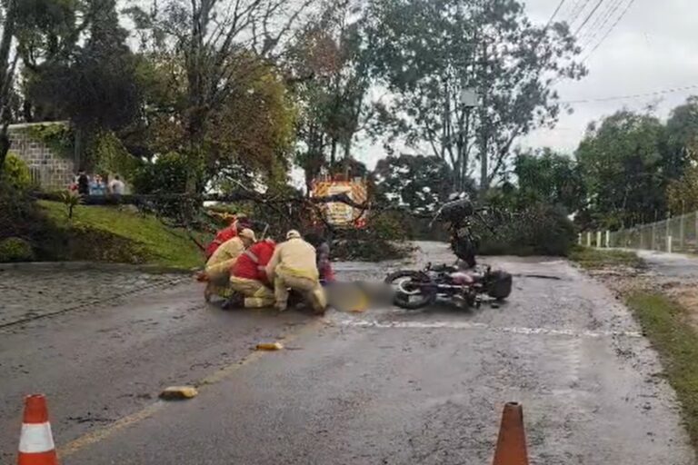 Motociclista fica gravemente ferido após árvore cair sobre moto em Curitiba