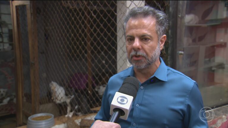 Toffoli libera campanha digital de Wilson Grassi, candidato à Presidência