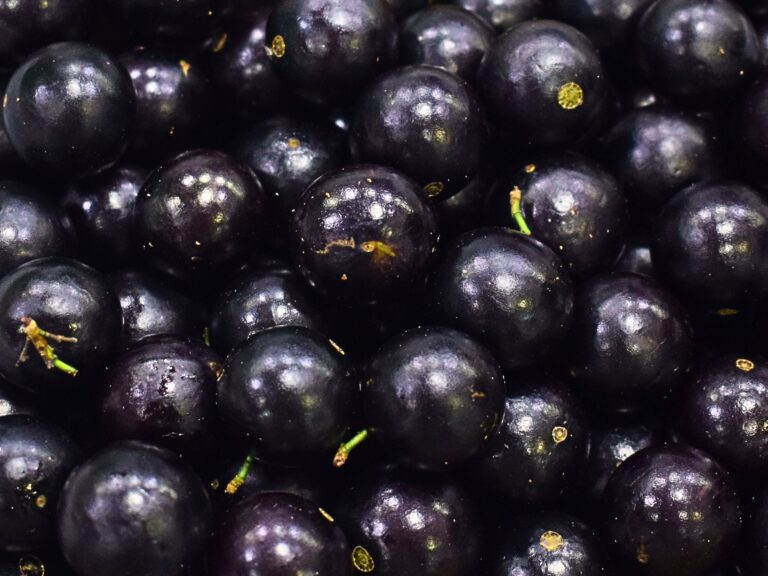 Jabuticaba atinge menor preço em 12 meses na CEAGESP