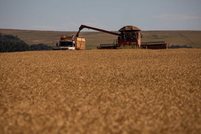 Proposta orçamentária cria incerteza para seguro rural em 2027