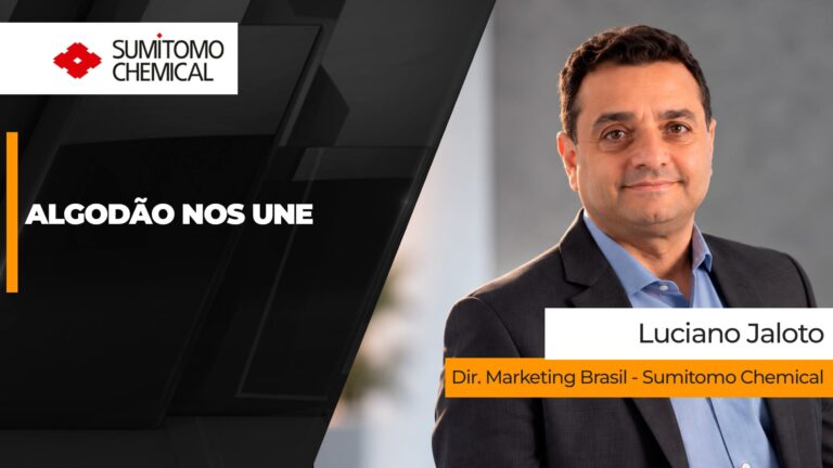 Sumitomo amplia estratégia no algodão e vai além de insumos