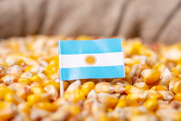 Argentina acelera exportações de milho e reduz vantagem competitiva do Brasil