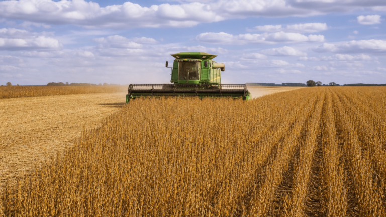 Soja recua no Brasil após relatório do USDA decepcionar mercado