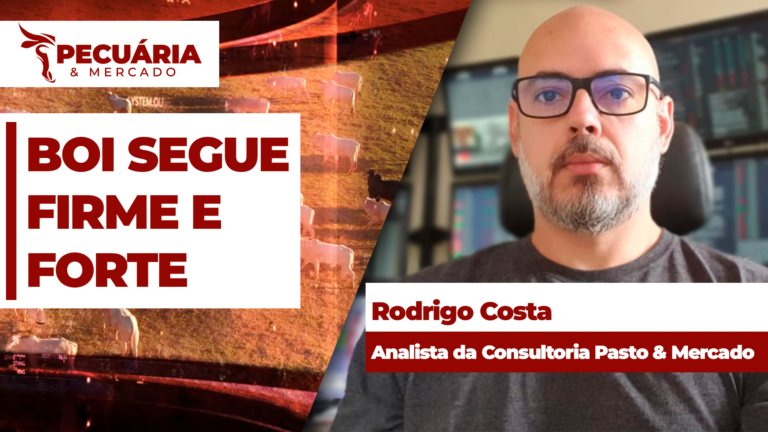 Analista vê arroba bovina forte com oferta ajustada e consumo em alta