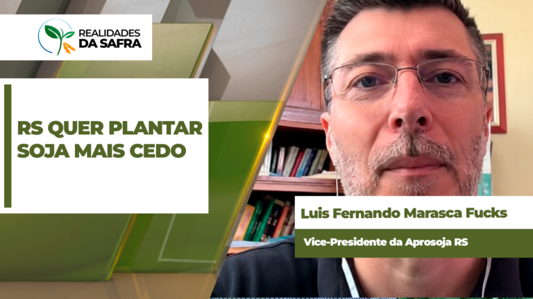 Rio Grande do Sul pede antecipação do calendário de plantio de soja 2026/27