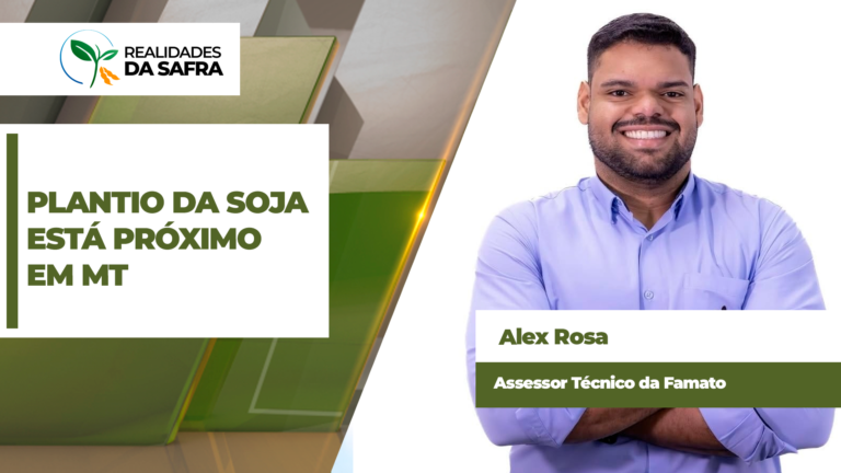 Produtores irrigados de Mato Grosso iniciam plantio de soja após vazio sanitário