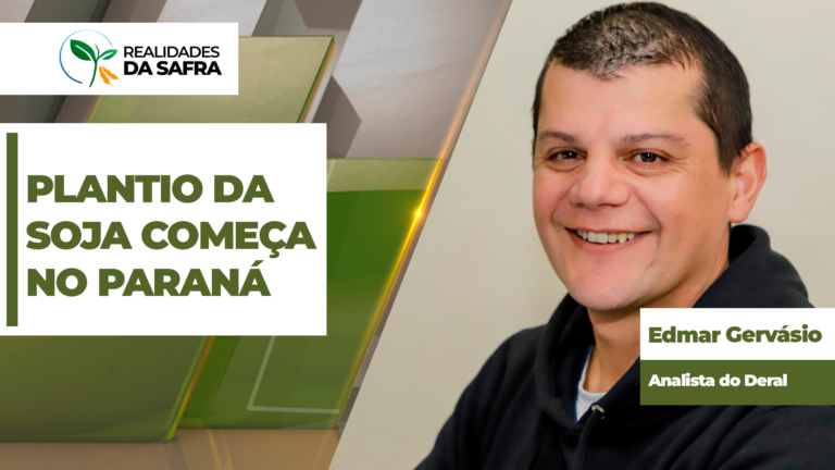 Paraná inicia plantio de soja 2026/27 com expectativa de alta produção