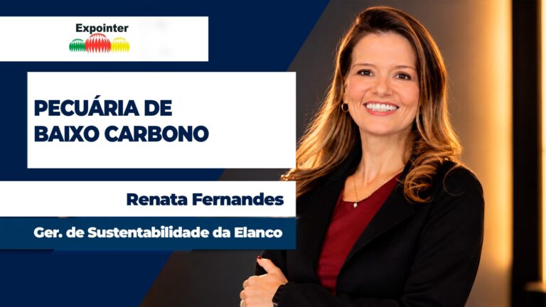 MAPA lança certificação que transforma redução de metano em crédito para pecuarista