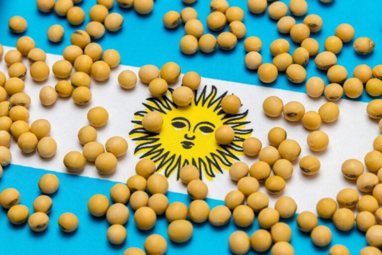 Bolsa de Buenos Aires prevê alta de 1,2% na área plantada com soja na Argentina