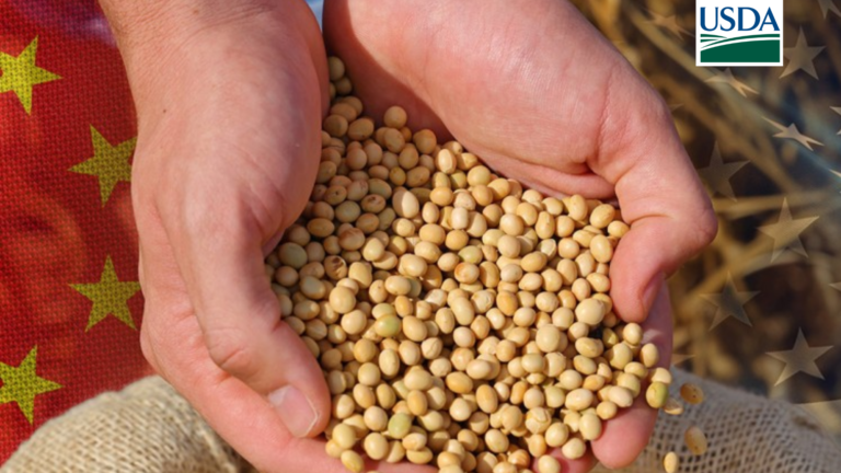 USDA anuncia novo pacote de vendas de soja e milho para safra 2026/27