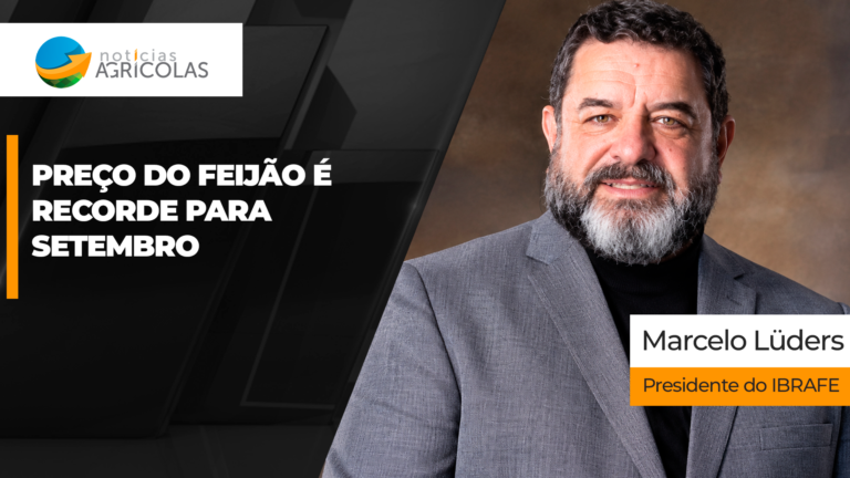 Preços do feijão atingem recorde em setembro com oferta menor que demanda