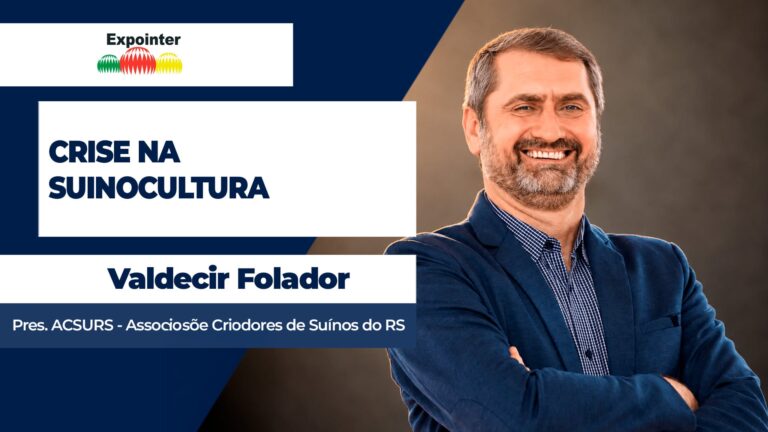 Suinocultura enfrenta prejuízos com desajuste entre oferta e demanda