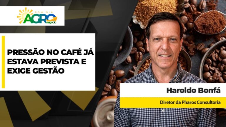 Café recua em Nova York mas ainda oferece preços adequados ao produtor