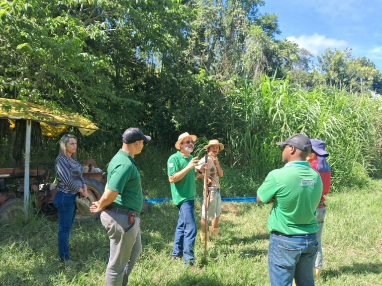 Defesa sanitária vegetal fortalece agricultura e proteção de lavouras no Rio