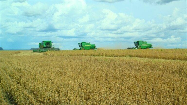 Títulos privados do agronegócio atingem R$ 597 bilhões em setembro