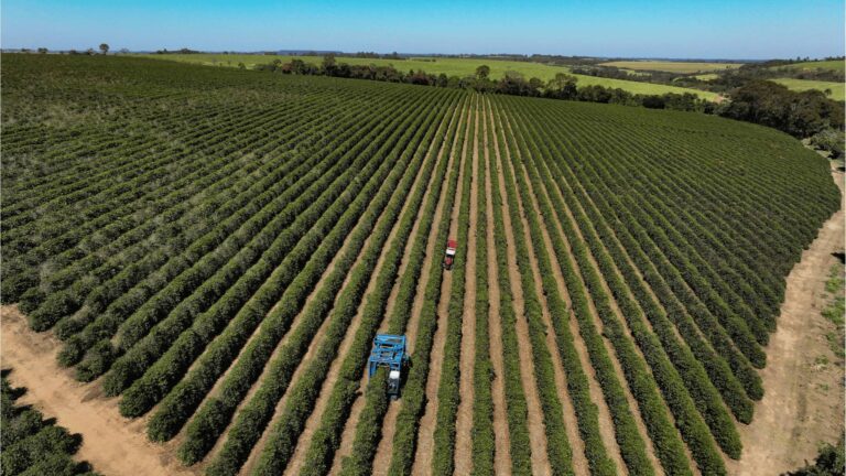 Agronegócio enfrenta juros altos e endividamento recorde em 2026