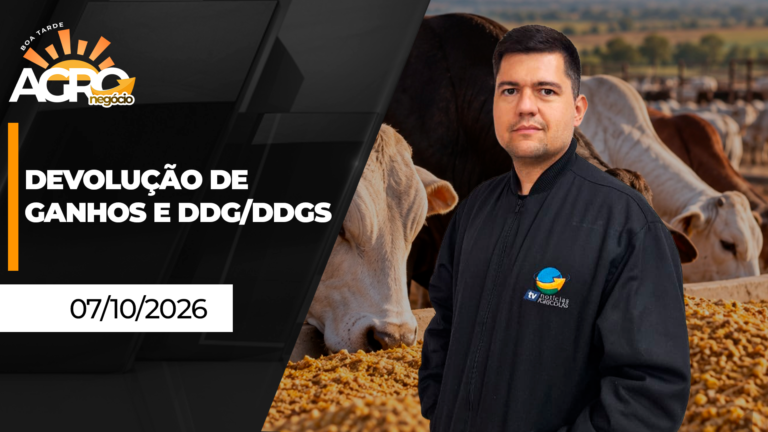 Bolsas devolvem ganhos nas commodities agrícolas; Brasil avança em DDG/DDGS