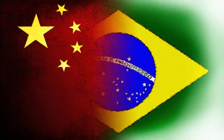 Brasil ativa autoembargo de frango à China após caso de Newcastle em Santa Catarina